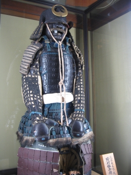 Samurai warrior costume