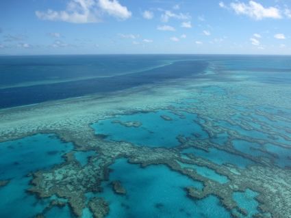 Aerial view of Great Barrier Reef - photo by Rob McFarland
