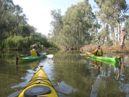 Paddling the backwaters of Lake Mulwalla - photo by Rob McFarland