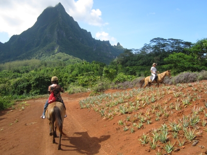 Horse riding on Moorea - photo by Rob McFarland