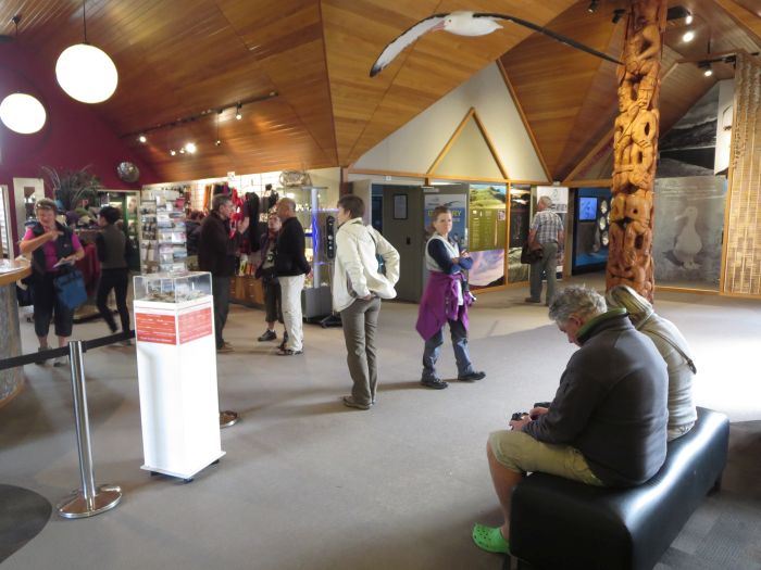 Inside Royal Albatross Centre in Dunedin, NZ - photo by Rob McFarland