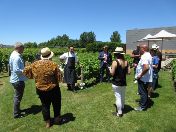 Craggy Range vineyard in Hawkes Bay - photo by Rob McFarland
