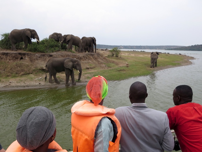 Elephants in Queen Elizabeth National Park, Uganda - photo by Rob McFarland