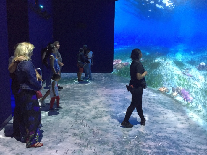National Geographic Encounter Ocean Odyssey - photo by Rob McFarland