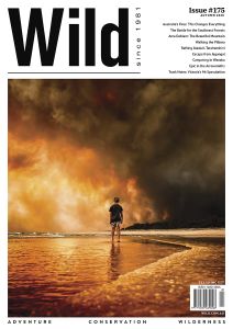 Wild magazine - travel writing course success story