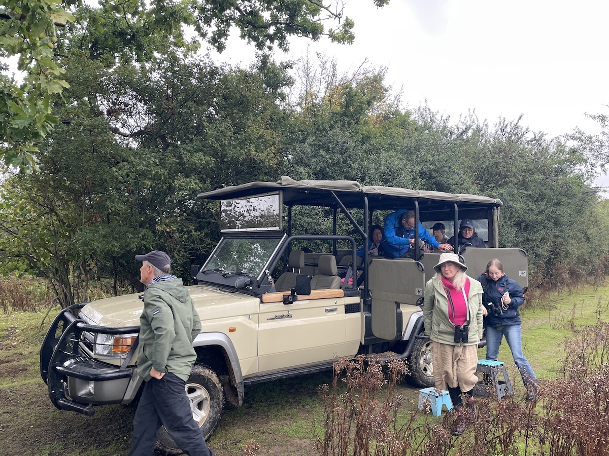 On safari in Knepp Estate, England - photo by Rob McFarland